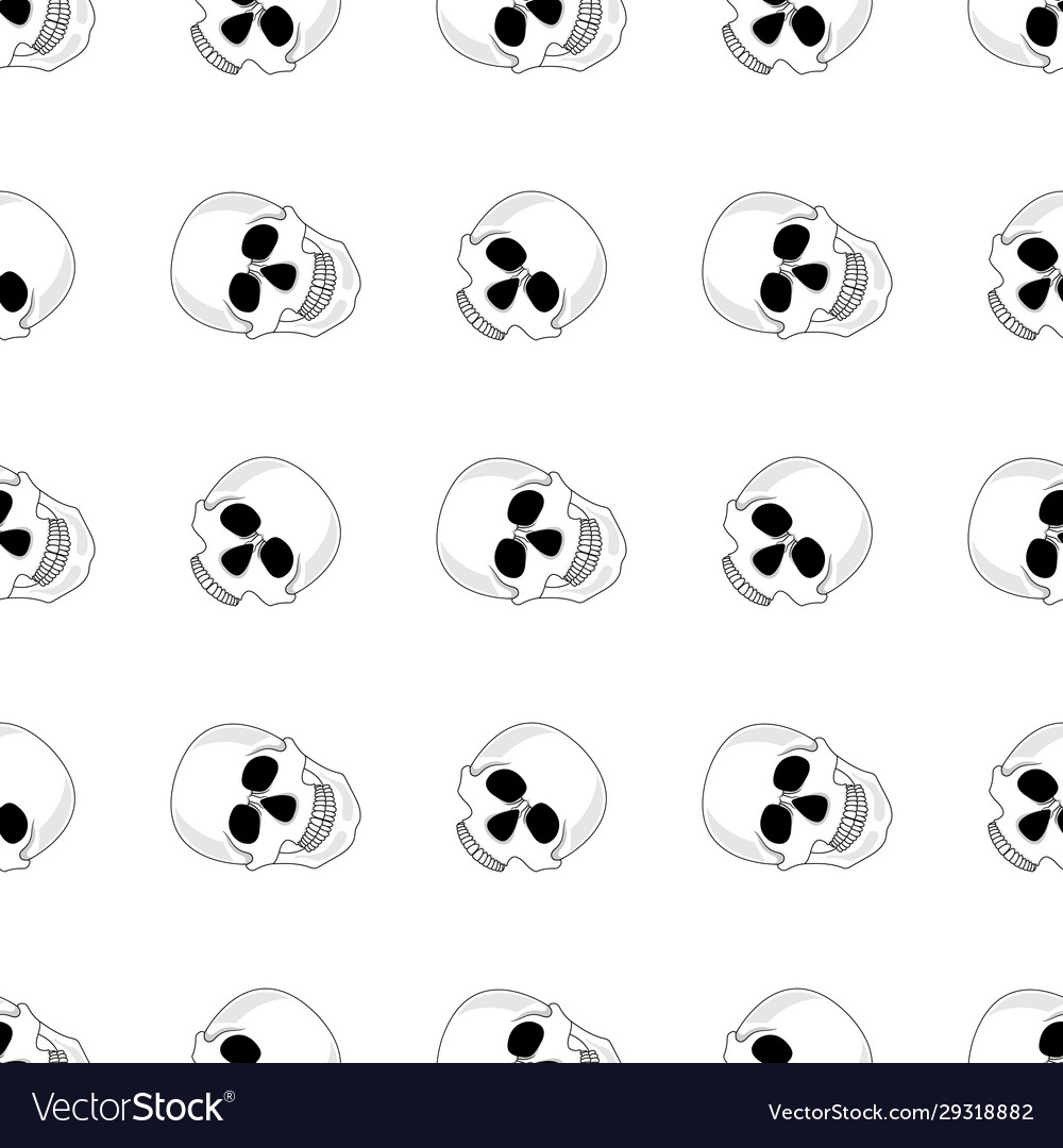 Seamless pattern with white skull isolated vector image Seamless pattern with white skull isolated