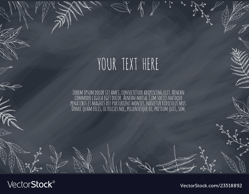 Floral elements on chalkboard chalk elements Vector Image