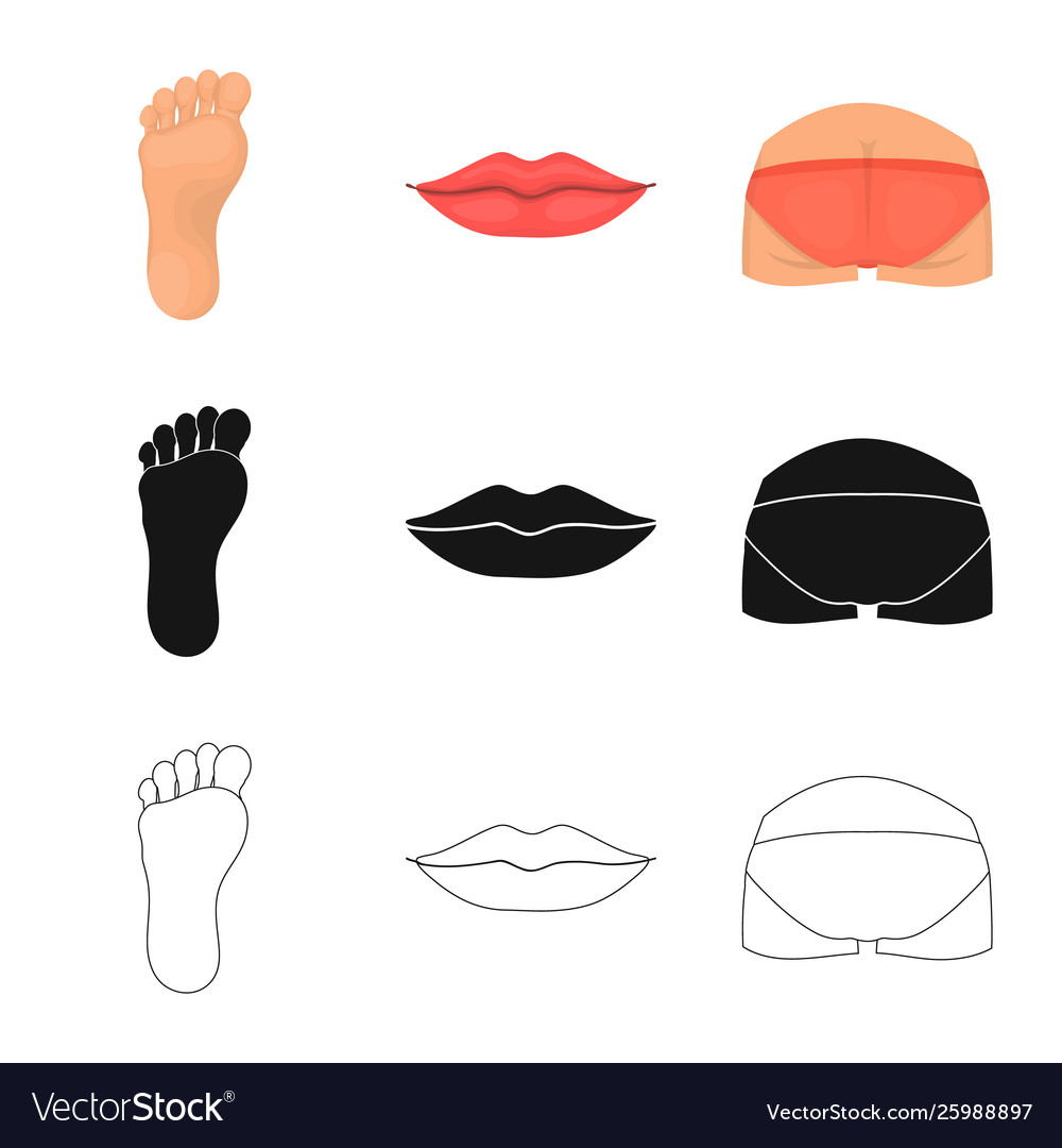 Isolated object body and part symbol