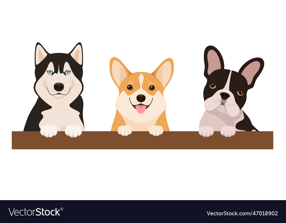 A set of cute dogs