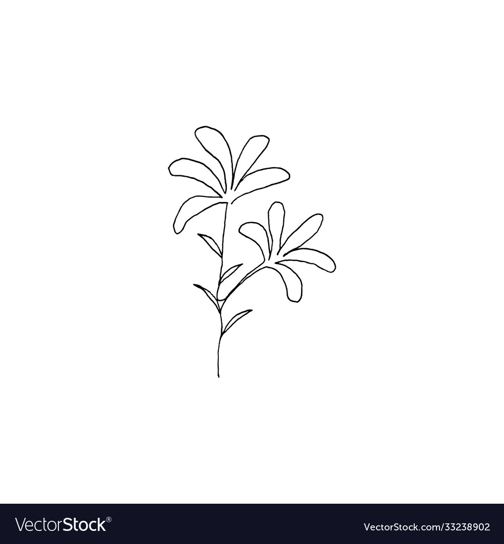 Simple continuous line art design vector image Simple continuous line art design