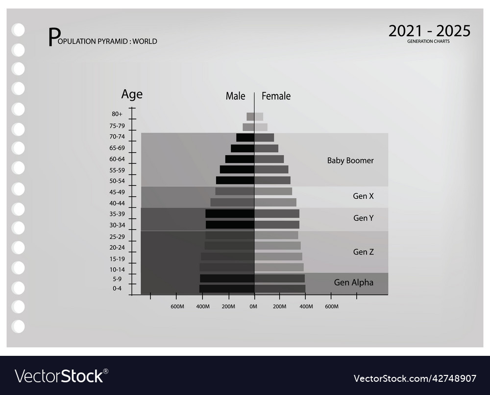 2021-2025 population pyramids graphs with 5 genera vector image 2021-2025 population pyramids graphs with 5 genera