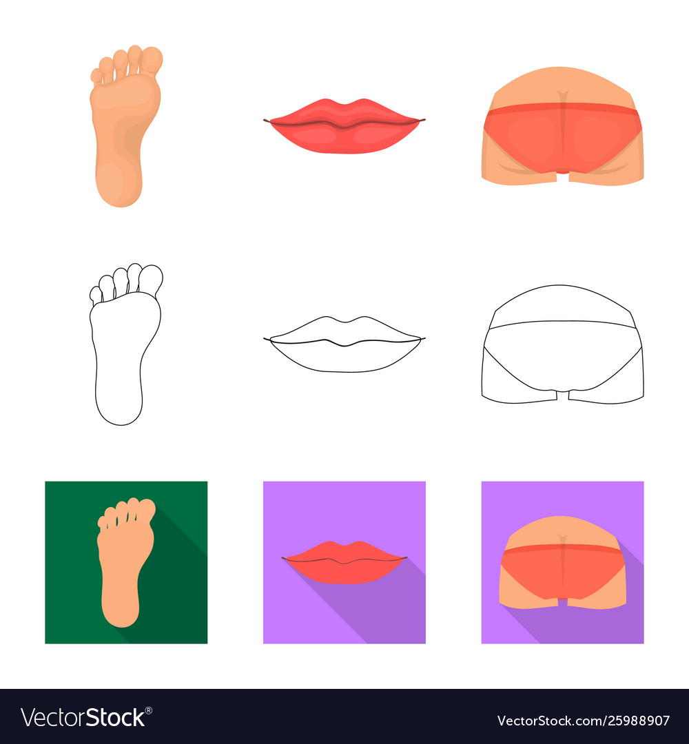 Body and part symbol set vector image Body and part symbol set