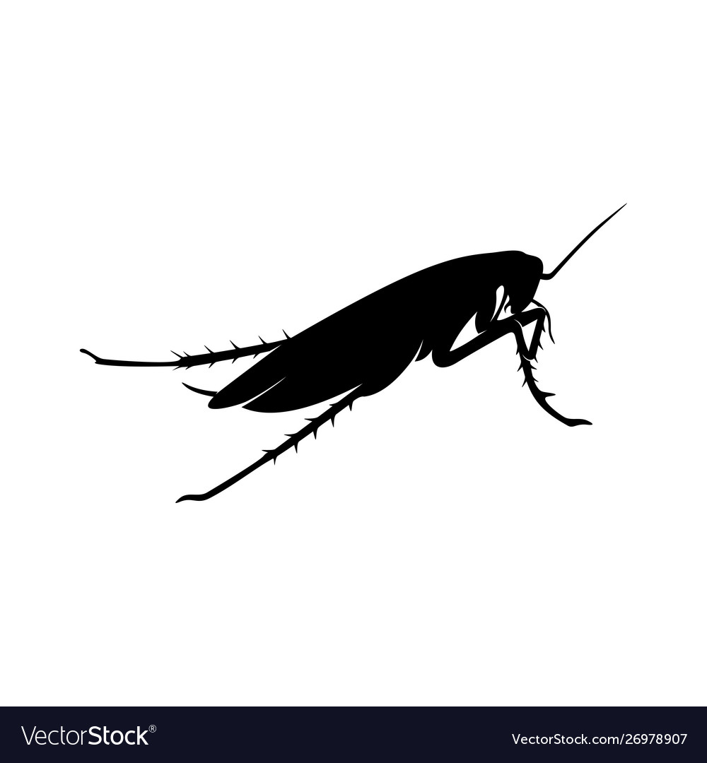 Cockroach logo design template