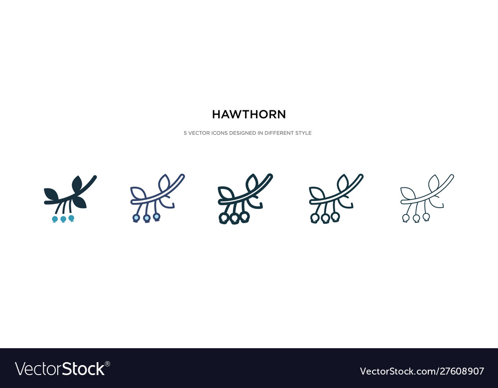 Hawthorn icon in different style two colored vector image Hawthorn icon in different style two colored