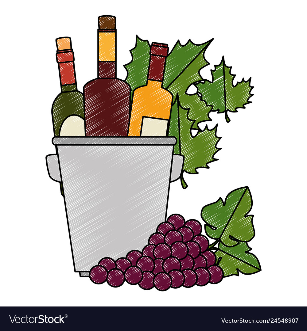 Wine bottles in bucket with leafs and grapes vector image Wine bottles in bucket with leafs and grapes