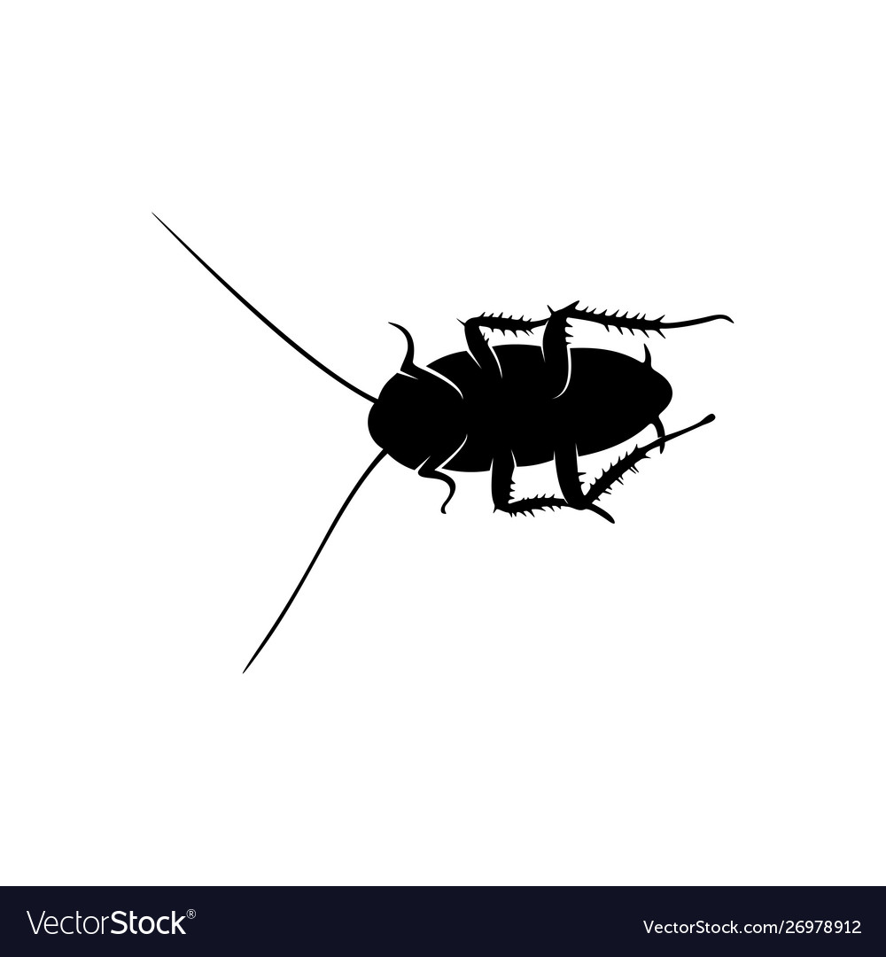 Cockroach Logo Design Template