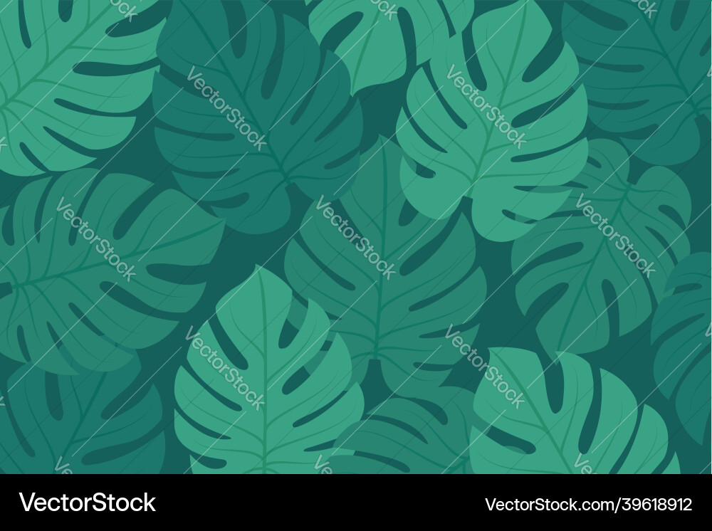 Monstera leaf icon Royalty Free Vector Image - VectorStock