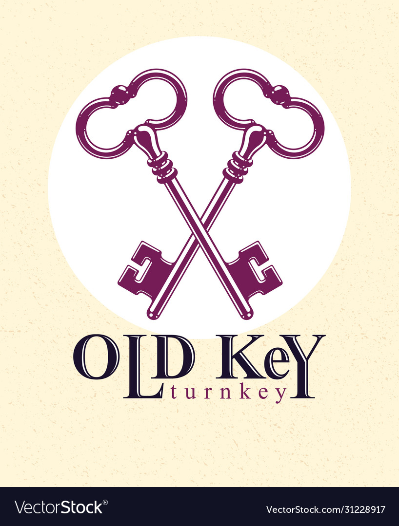 Crossed keys protected secret electronic data vector image Crossed keys protected secret electronic data