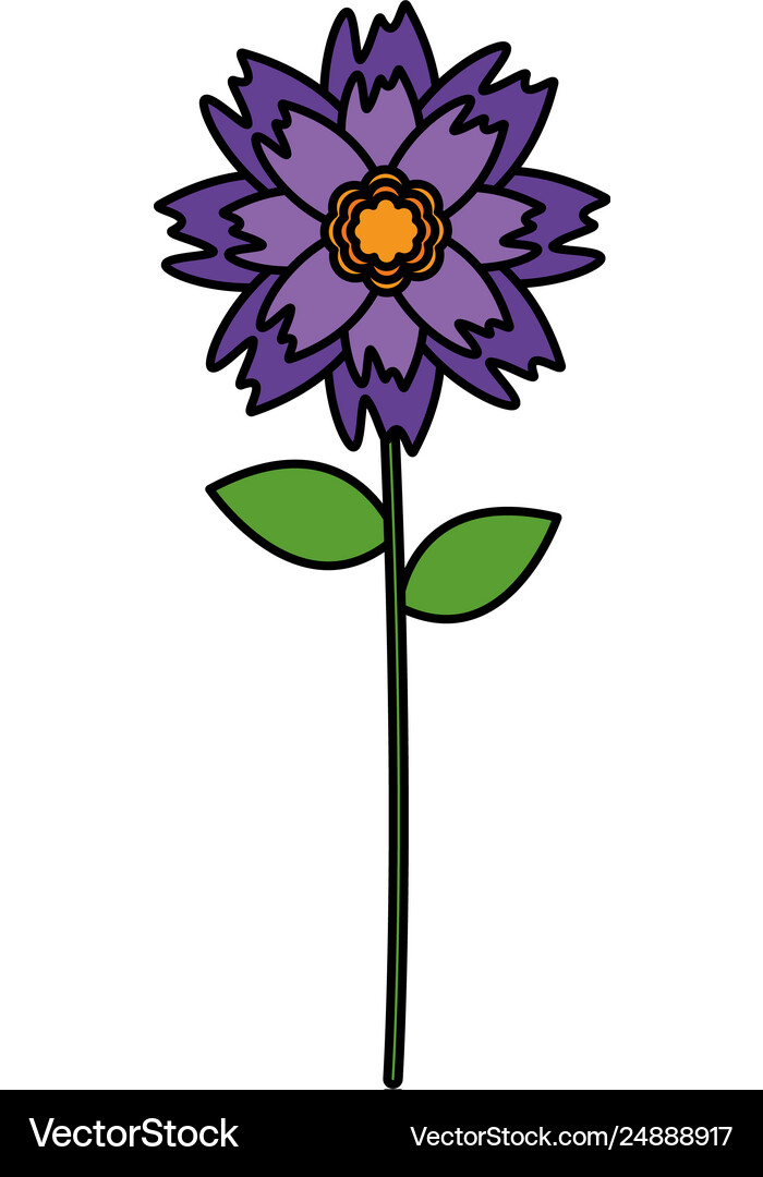 Flower stem leaves Royalty Free Vector Image - VectorStock