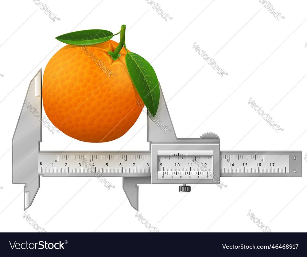 Horizontal caliper measures orange fruit