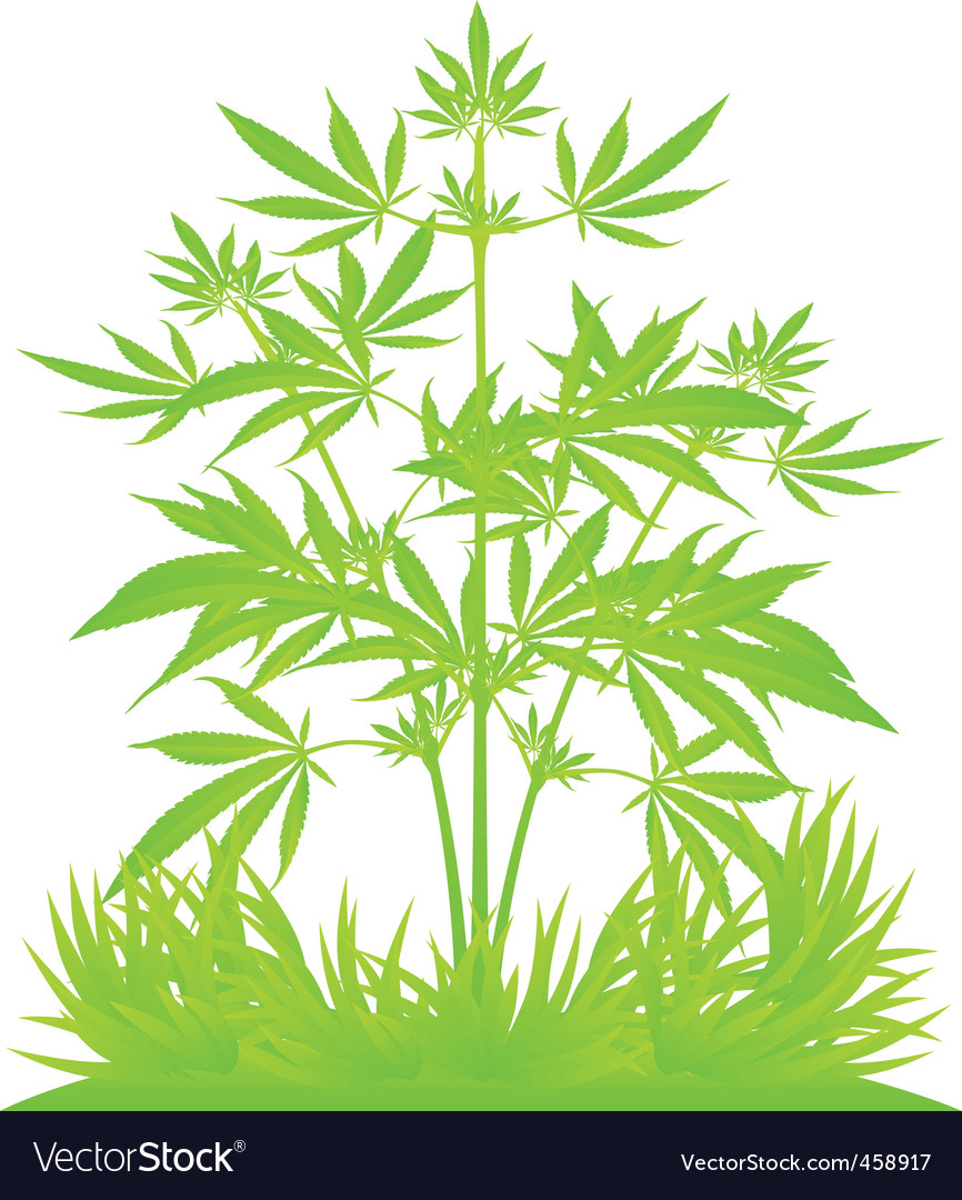 Weed Leaf Cartoon Drawing