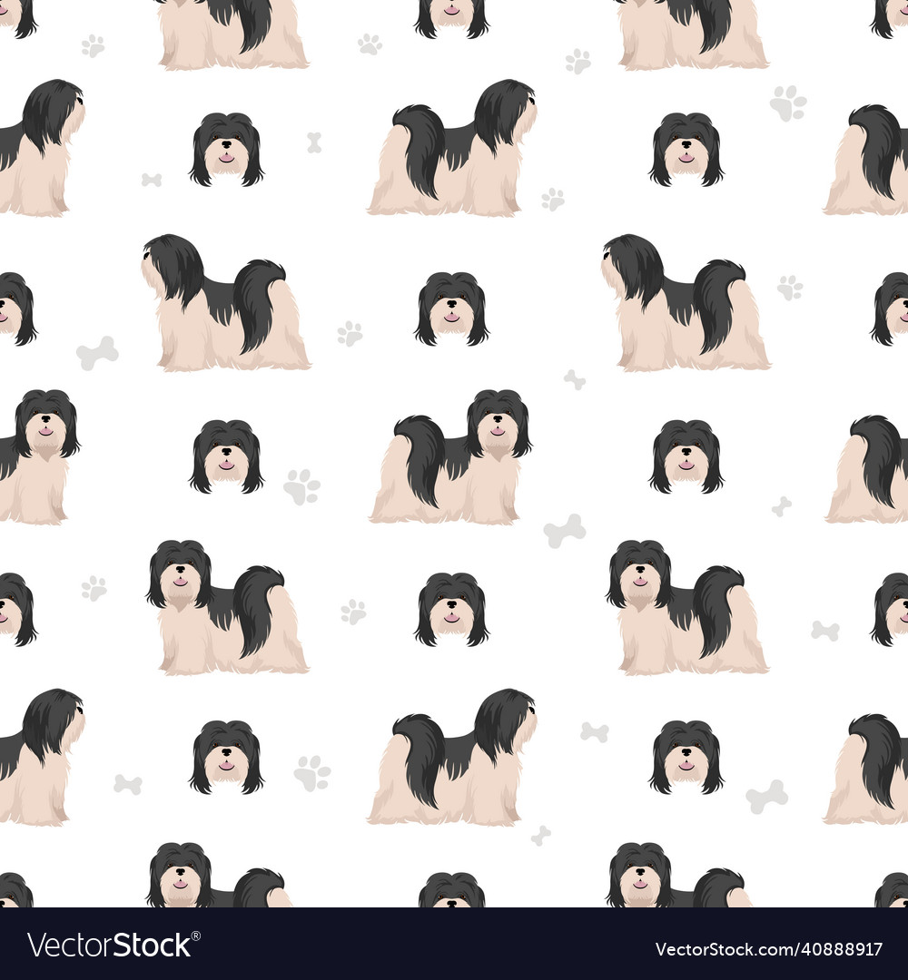 Lhasa apso seamless pattern different poses coat vector image Lhasa apso seamless pattern different poses coat