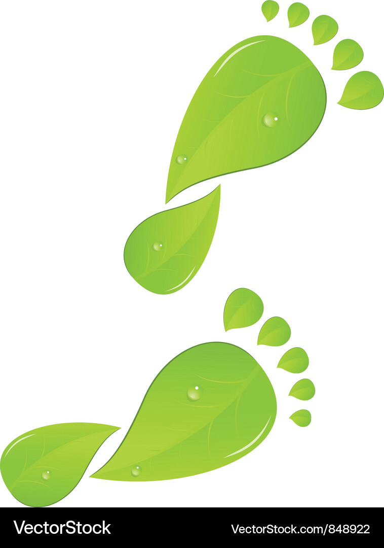Green steps Royalty Free Vector Image - VectorStock