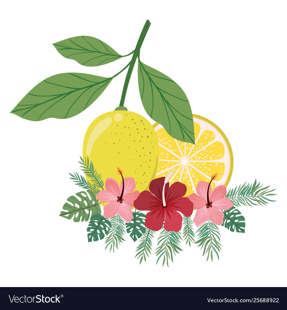 Portion lemon with leaves in white background