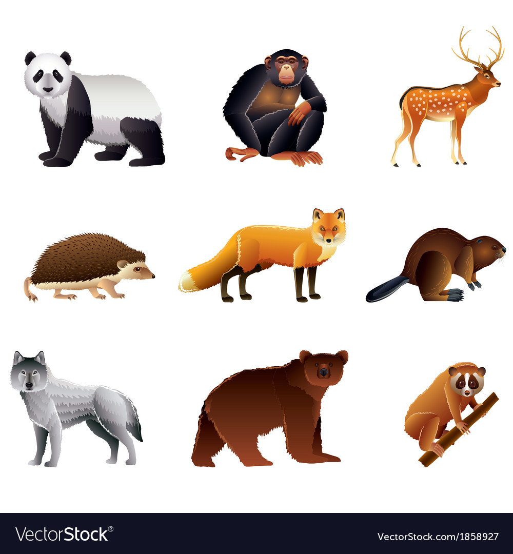 Asian animals set Royalty Free Vector Image - VectorStock Asian animals set Royalty Free Vector Image - VectorStock