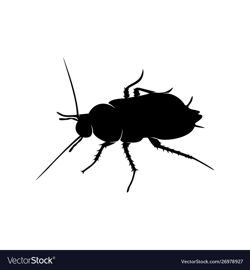 Cockroach logo design design template Royalty Free Vector