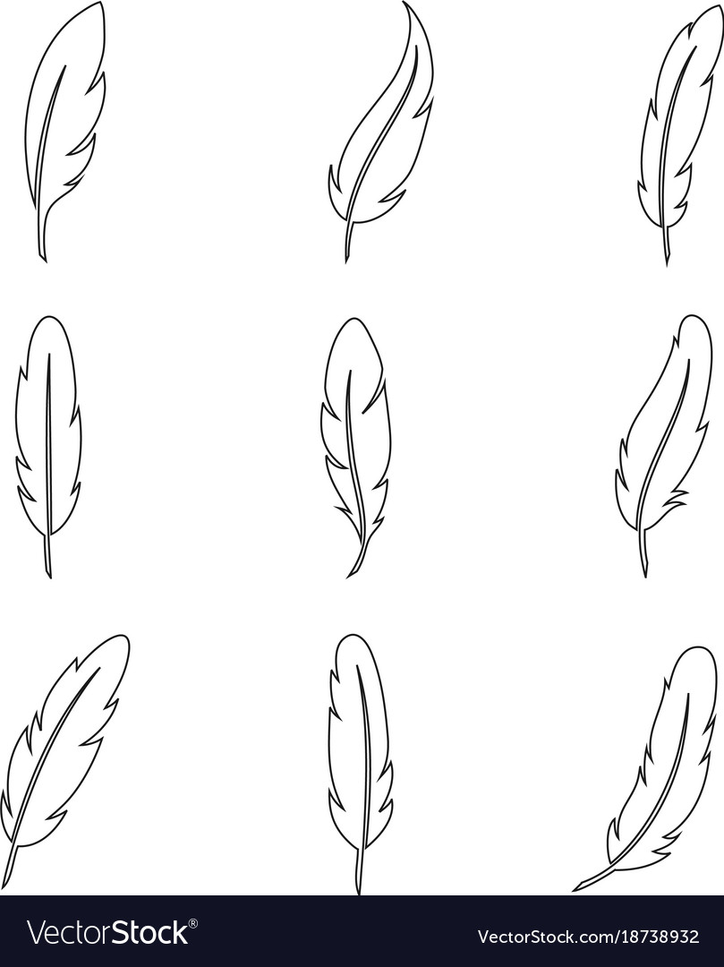 Bird feather line art collection Royalty Free Vector Image