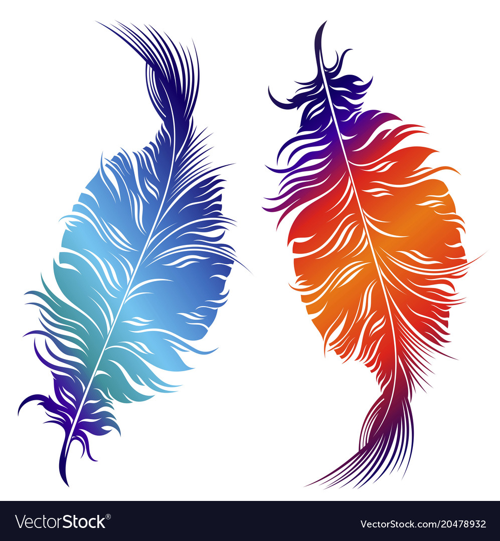 Design decorative feathers Royalty Free Vector Image