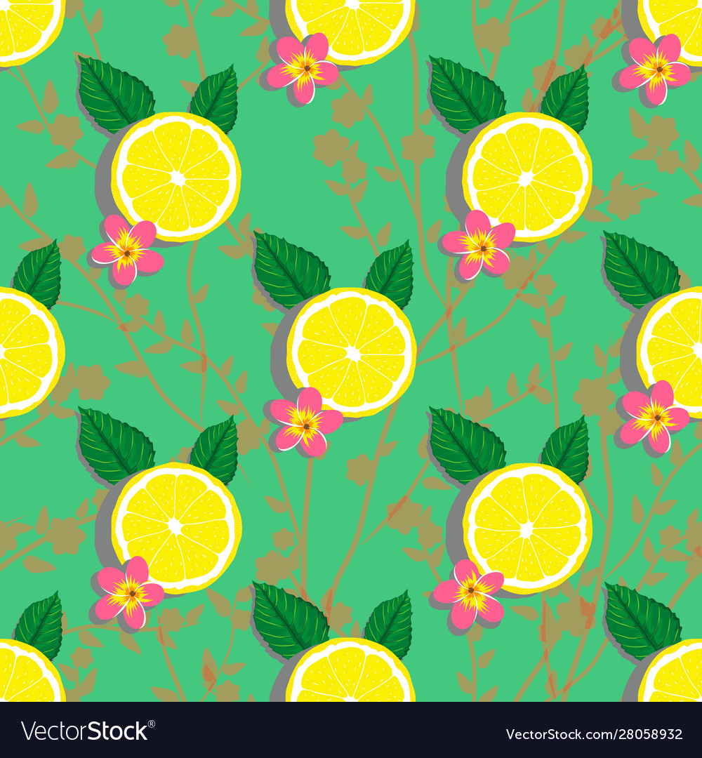 Lemon slice with leaves and plumeria flower Vector Image Lemon slice with leaves and plumeria flower