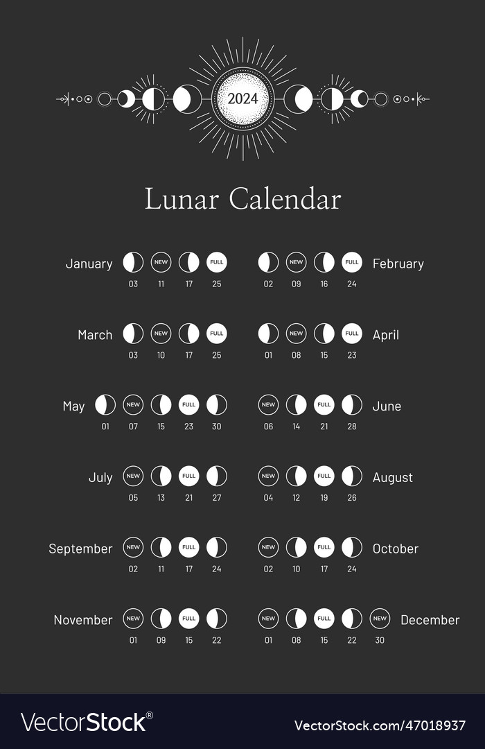 2024 year lunar calendar monthly moon cycle Vector Image