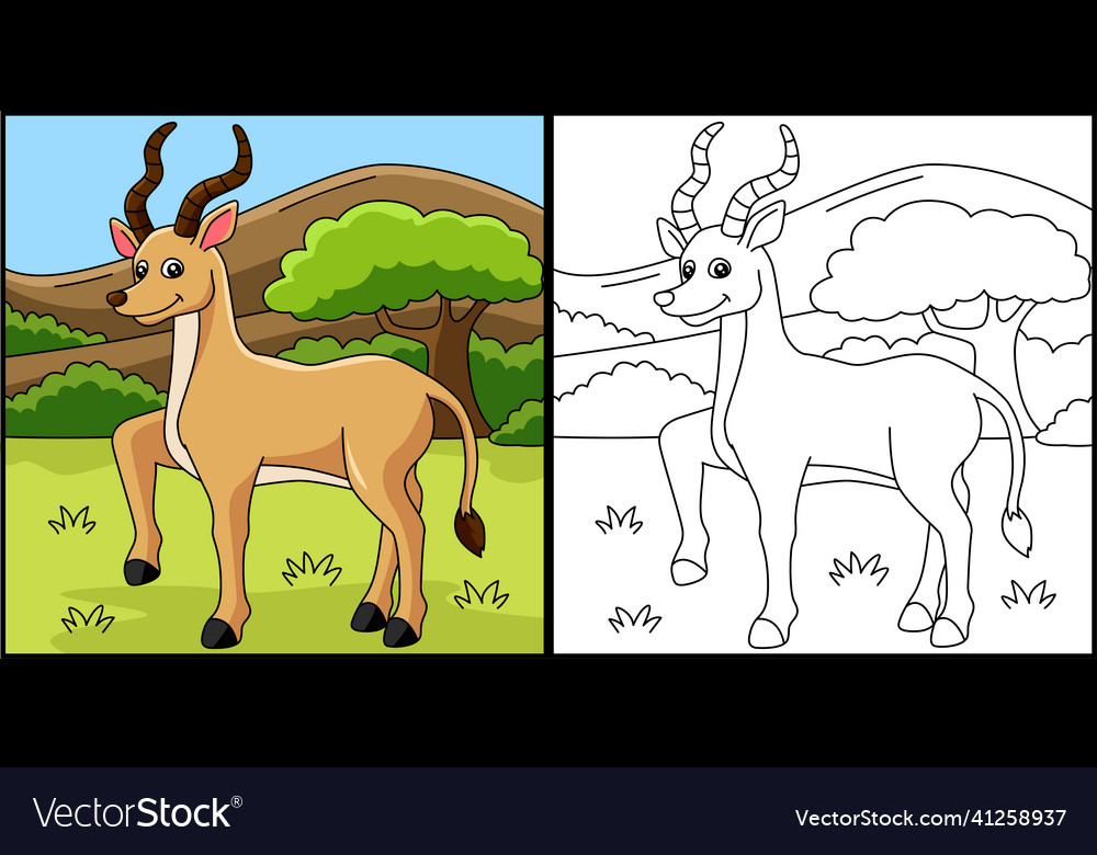 Antelope coloring page