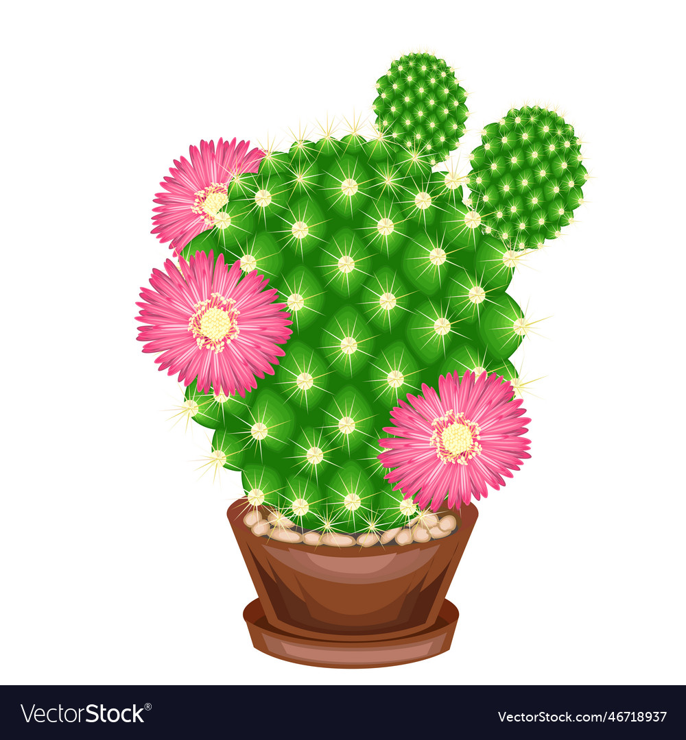 Color picture potted plant in a pot the green vector image Color picture potted plant in a pot the green