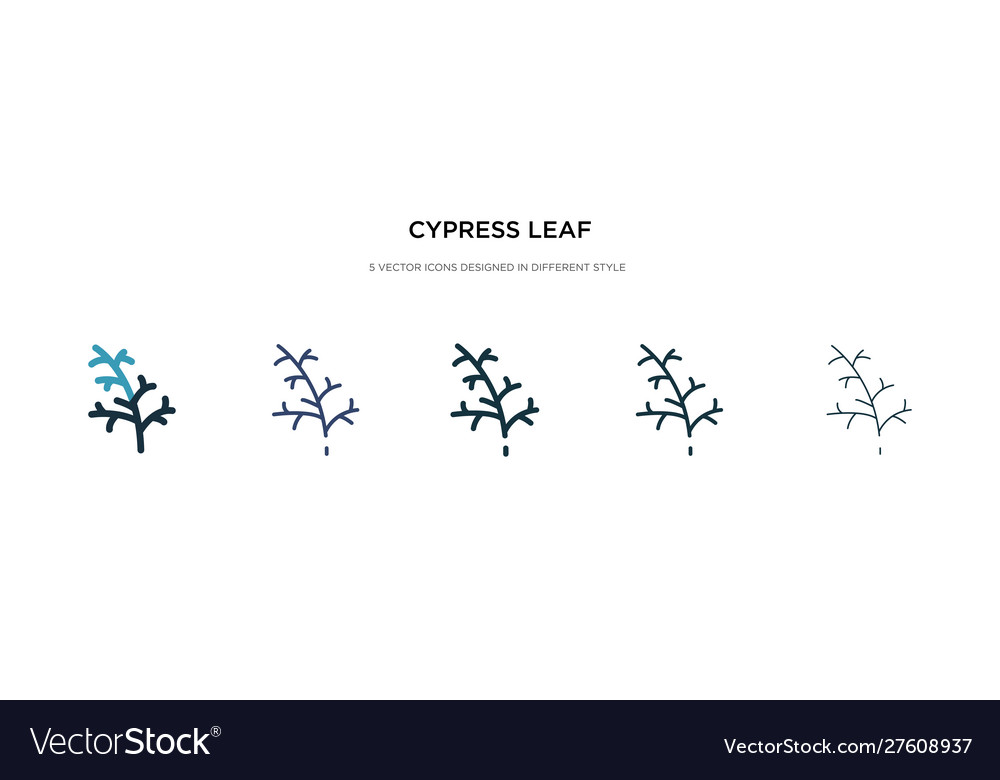 Cypress leaf icon in different style two colored