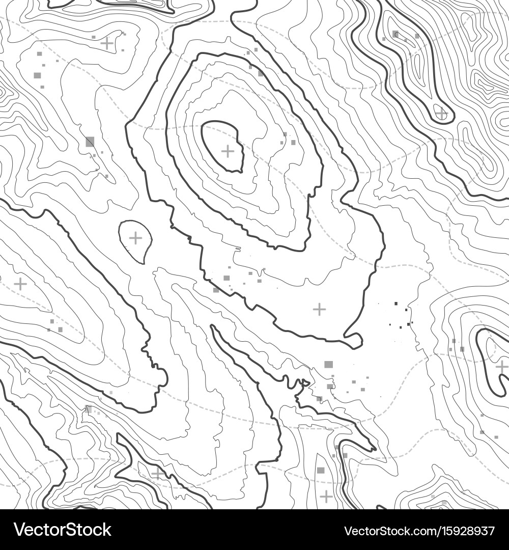 Seamless pattern topographic map background Vector Image