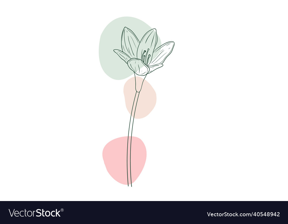 Minimalist abstract one line art Royalty Free Vector Image