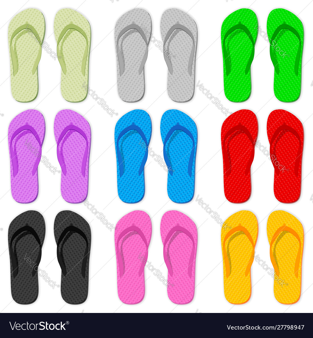 Color flip flop Royalty Free Vector Image - VectorStock