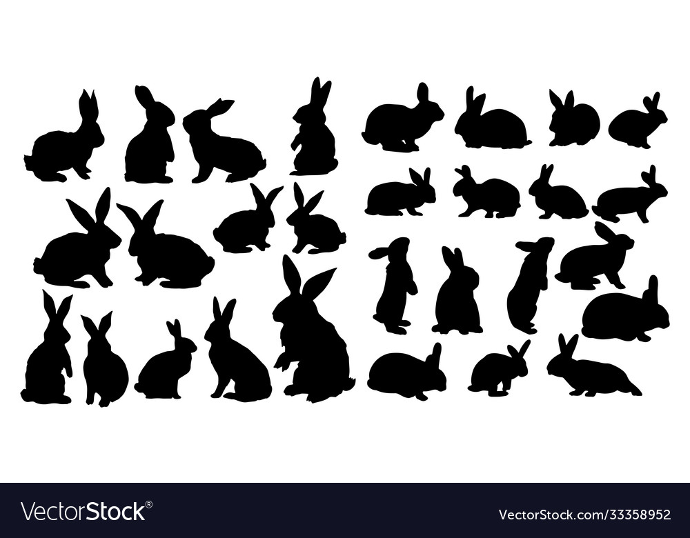 Rabbit set isolated on white background vector image Rabbit set isolated on white background