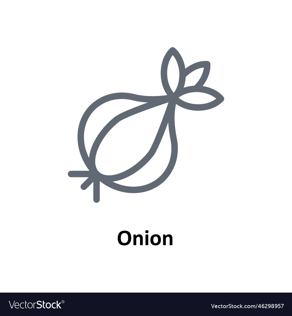 Onion outline icons simple stock illust