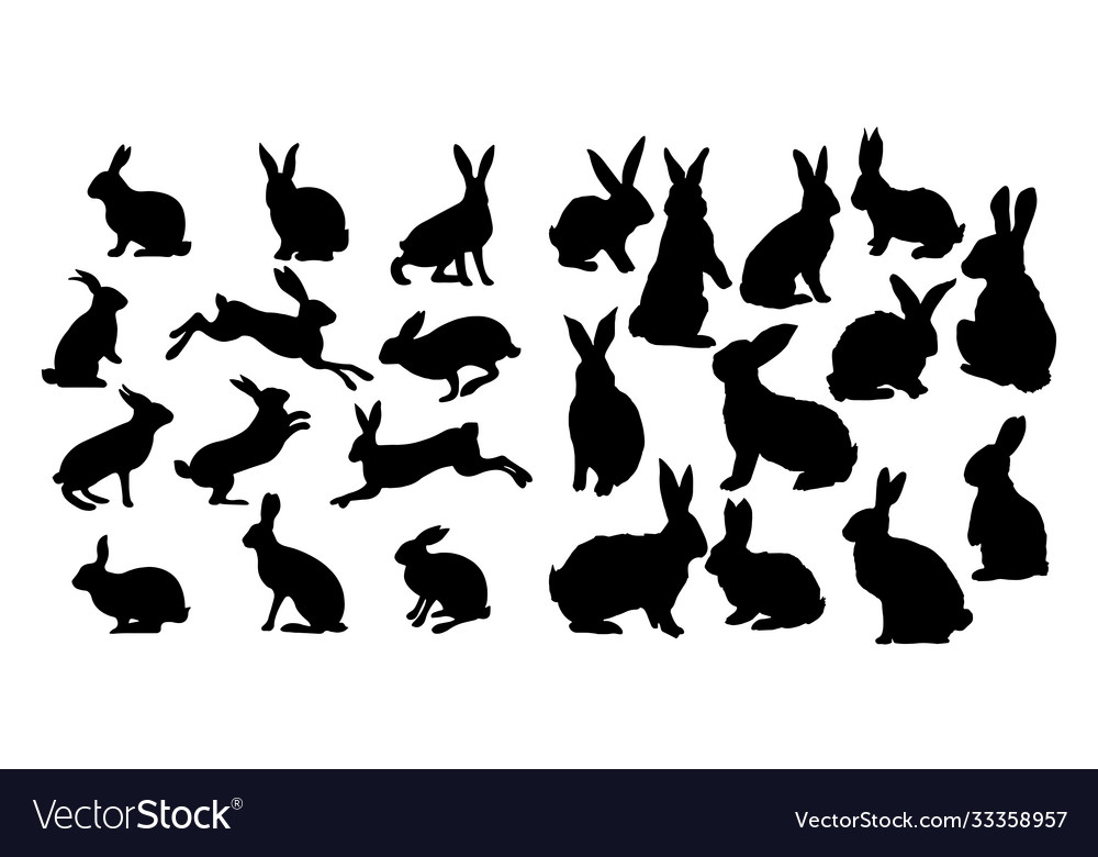 Rabbit set isolated on white background