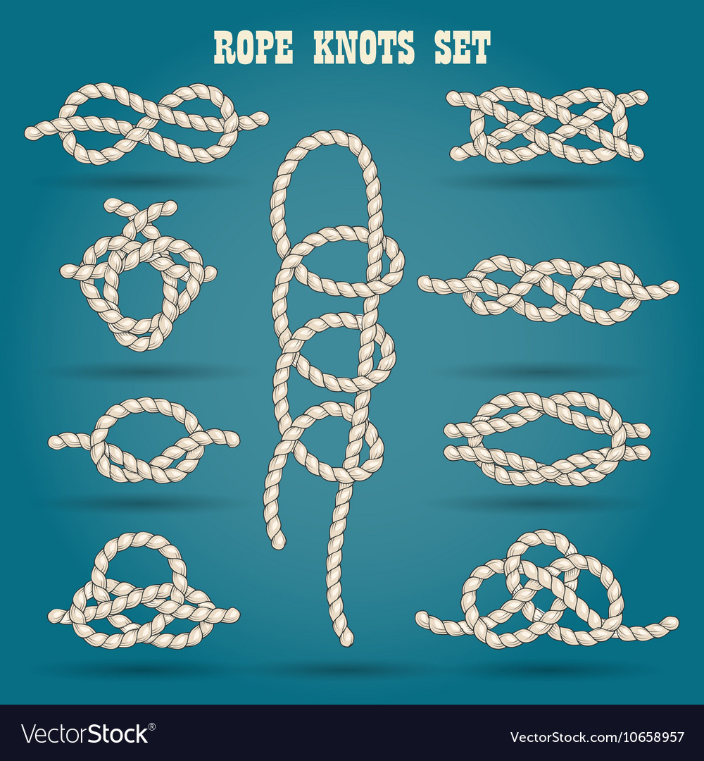 Rope knots set Royalty Free Vector Image VectorStock