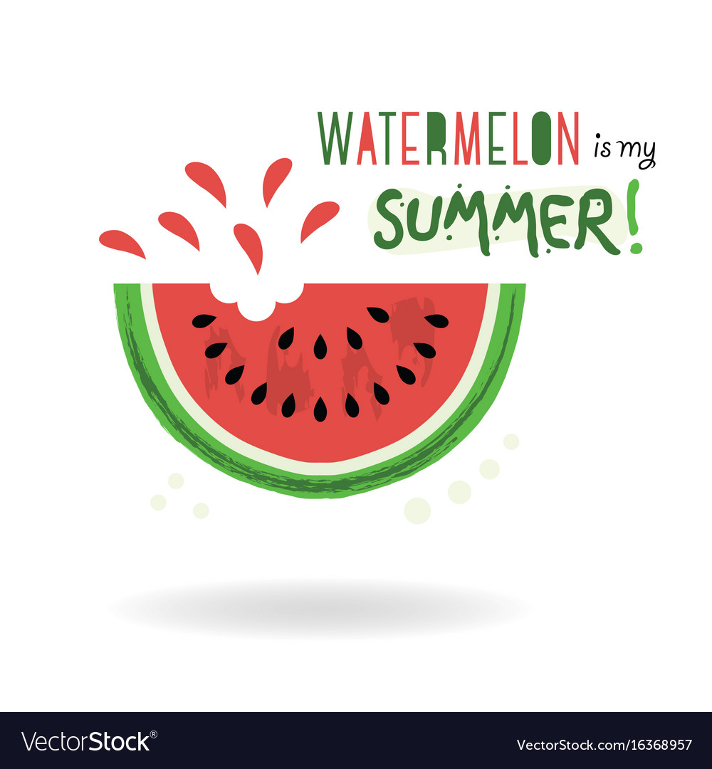 Watermelon is my summer card on white background Vector Image