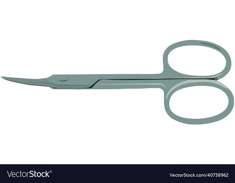 Curved pointed scissors for nails vector image Curved pointed scissors for nails