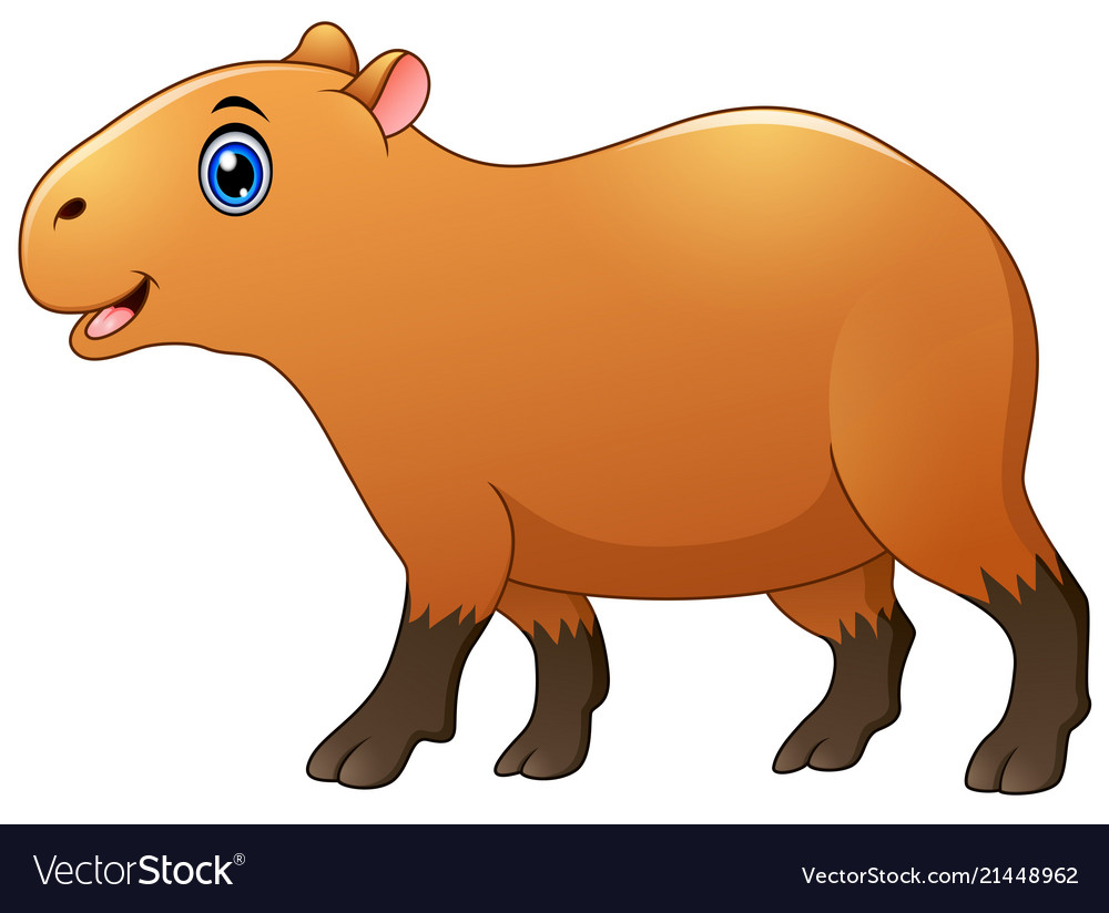 Premium Vector  Cute capybara cartoon vector illustration