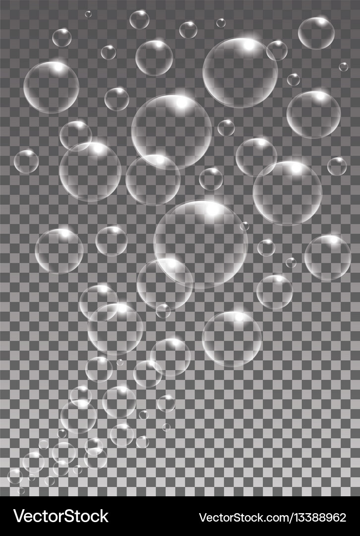 Realistic isolated soap bubbles Royalty Free Vector Image