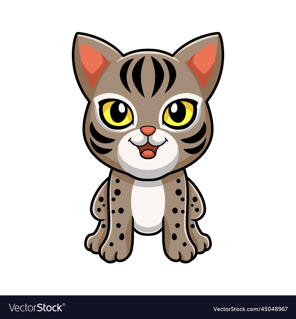 Cute ocicat cat cartoon sitting