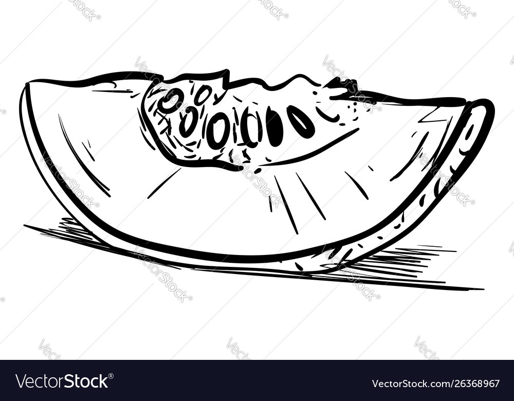 Melon drawing on white background Royalty Free Vector Image