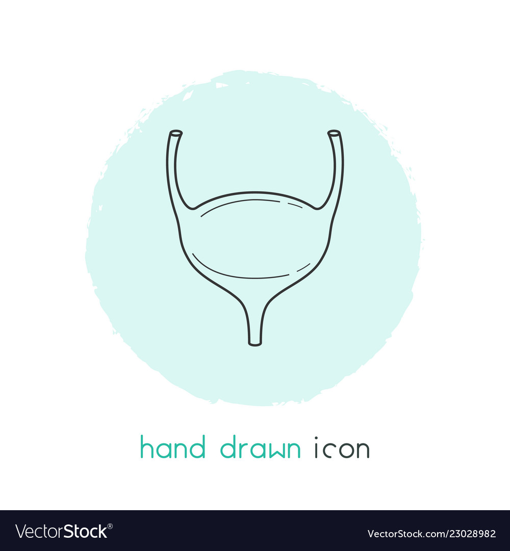Bladder icon line element Vector Image Bladder icon line element