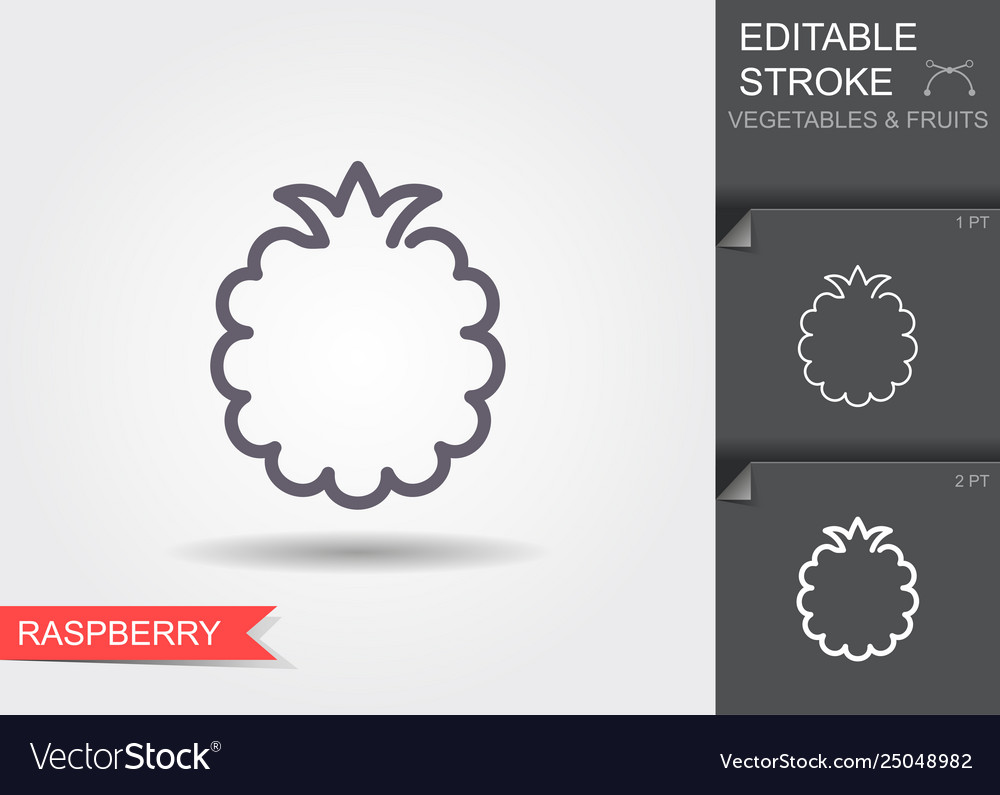Raspberry line icon with shadow outline vector image Raspberry line icon with shadow outline