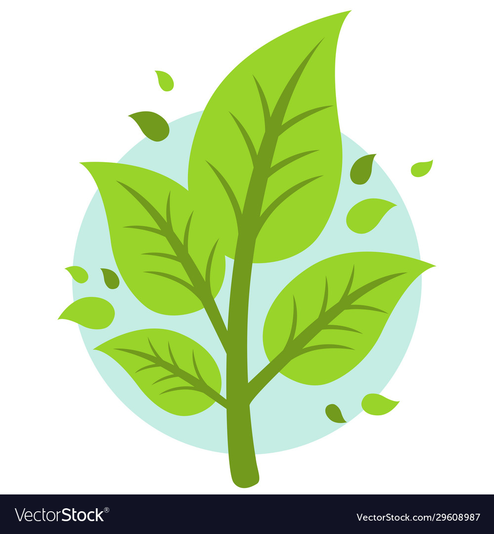 Leaf icon