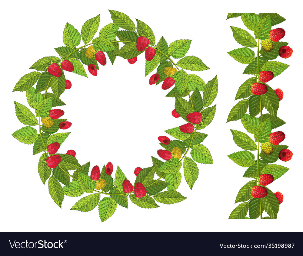 Seamless border and wreath with ripe raspberries