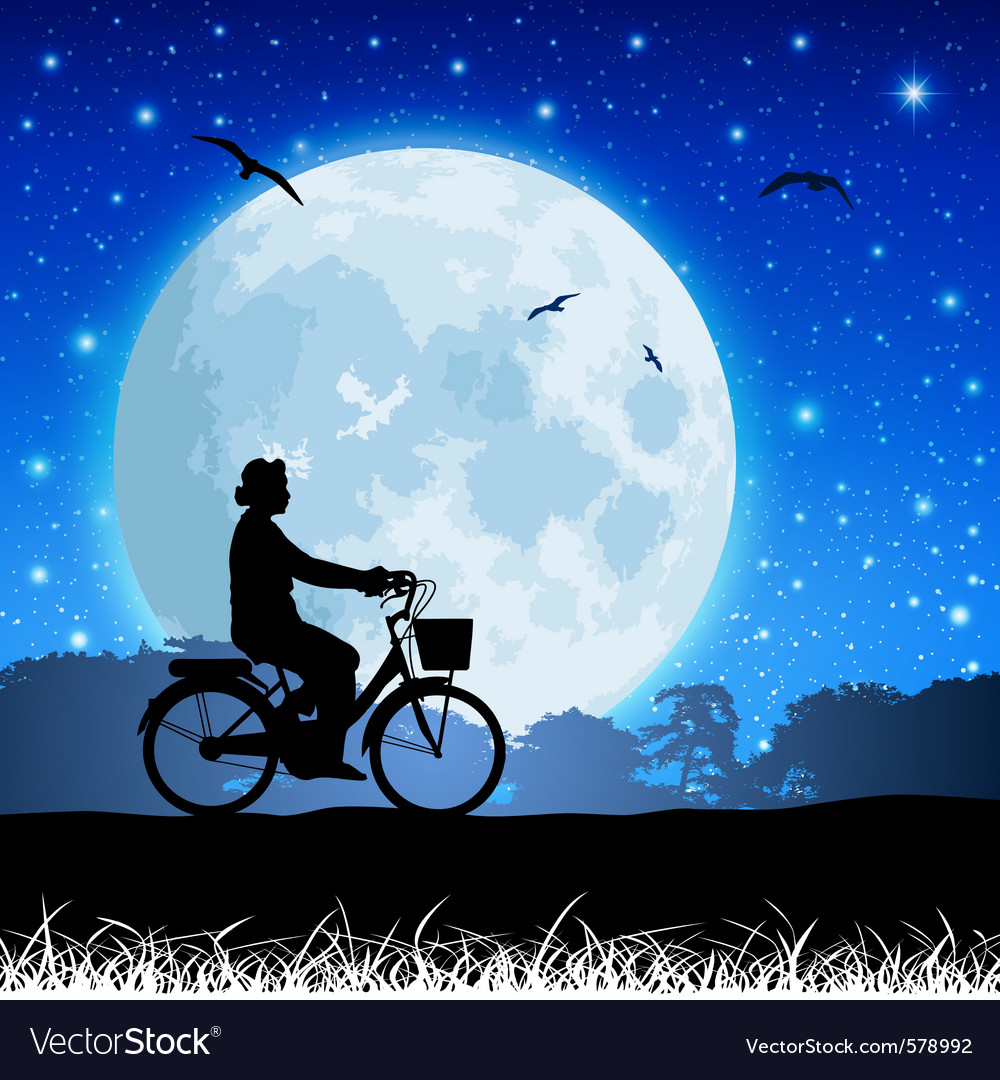 Silhouette Bicycle Under a Full Moon
