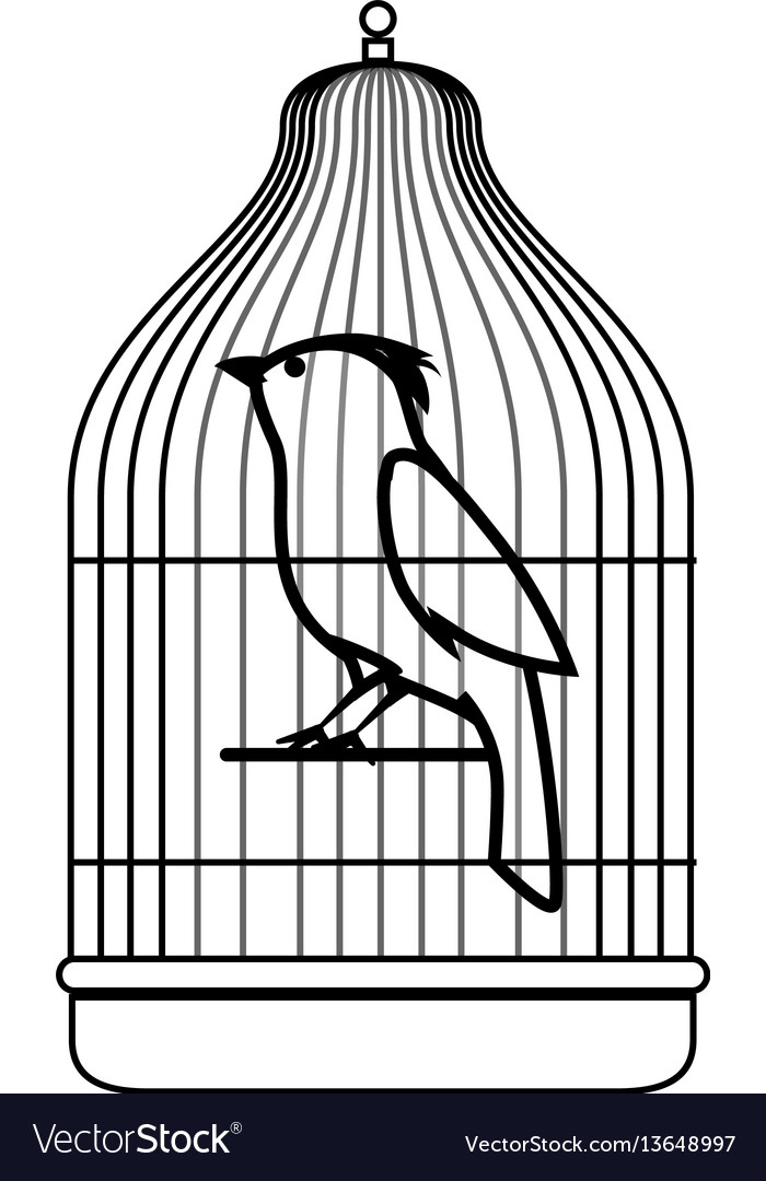 Cute bird in cage mascot