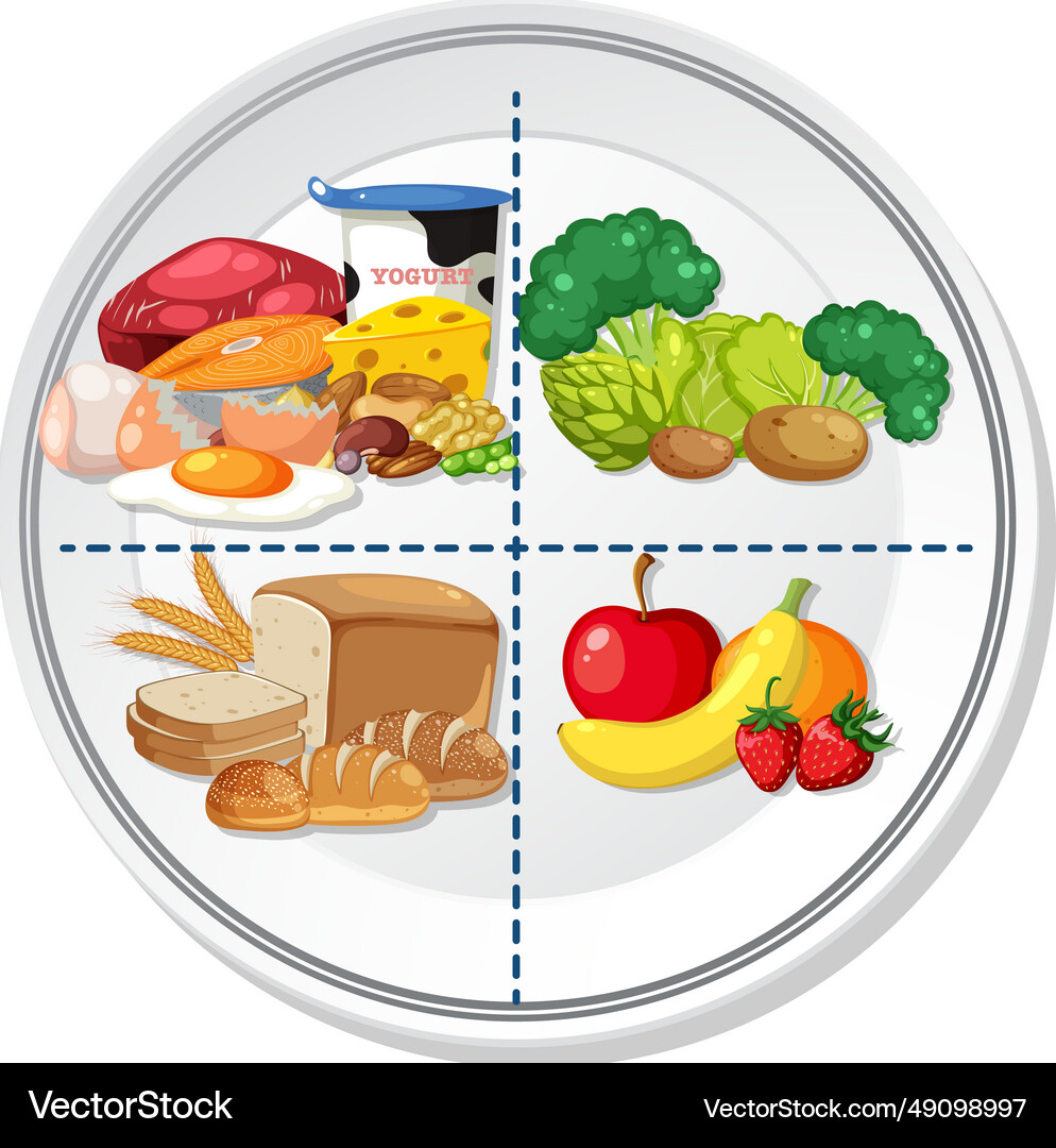 Healthy Plate with Balanced Food Portion – Royalty-Free Vector | VectorStock, image size:990x1080