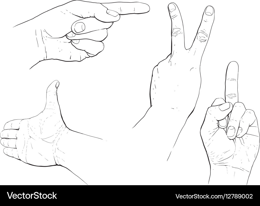 Hand gestures Royalty Free Vector Image - VectorStock