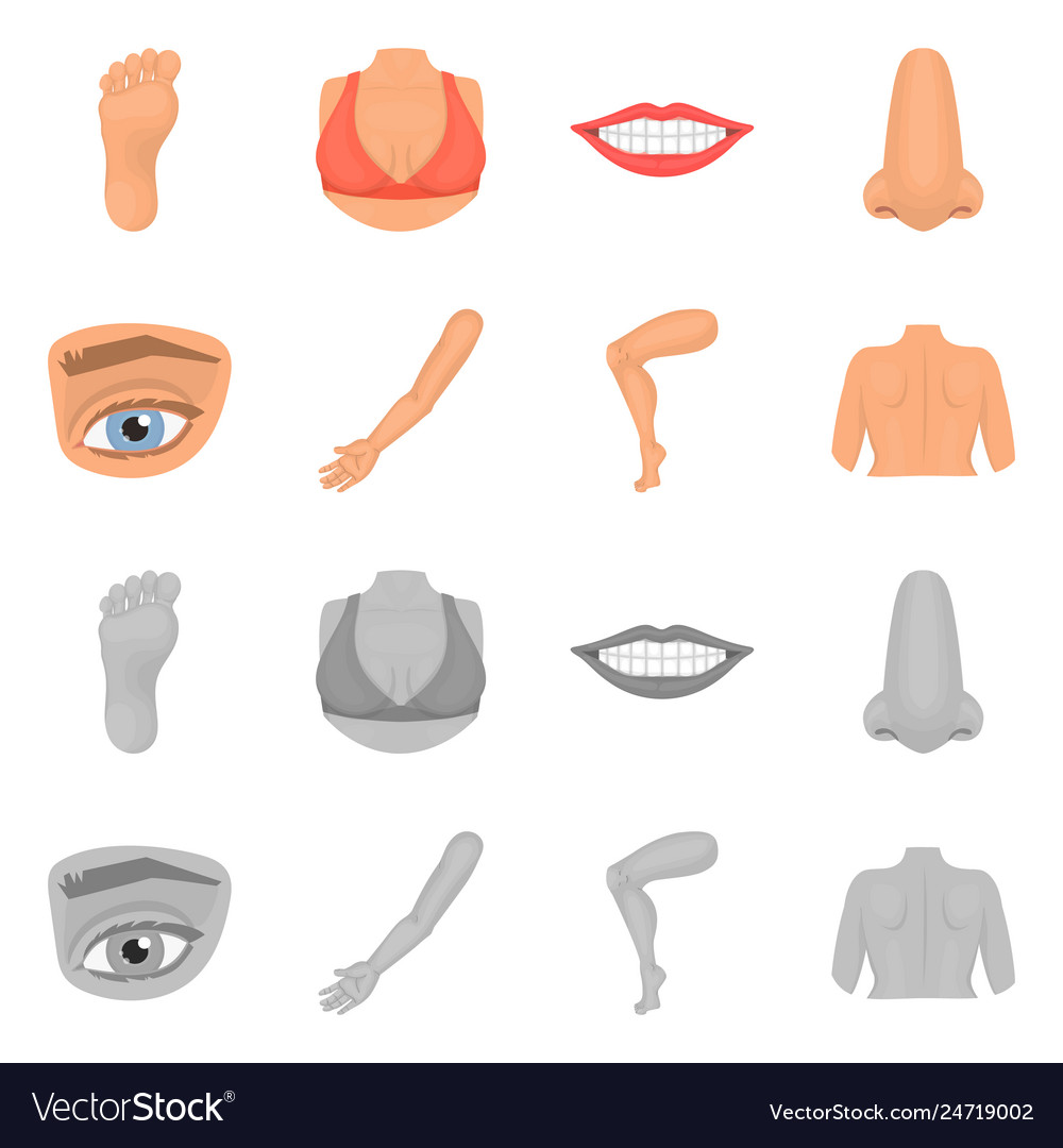 Isolated object of body and part logo collection